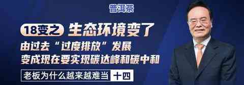 普洱茶：发展机会、趋势全解析