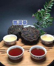 冰岛古树属于什么普洱茶-冰岛古树属于什么普洱茶类型