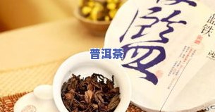 大师手作普洱茶多少钱，探索大师手作普洱茶的价值：价格解析与购买建议