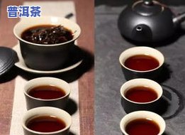 黑茶普洱茶哪个好，普洱茶VS黑茶：哪个更好？一份全面的比较指南