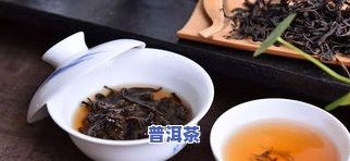 普洱茶与黑茶的区别及功效解析