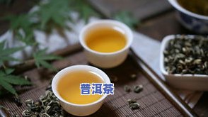 小度普洱茶是凉性的还是热性的呢，小度普洱茶：它是凉性还是热性？