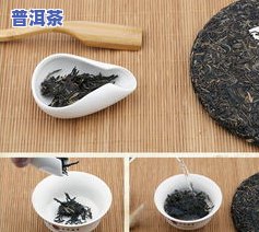 普洱茶是什么年份的茶叶啊，探究普洱茶的年份：揭开其神秘面纱