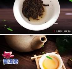 云南七子普洱茶价格及图片