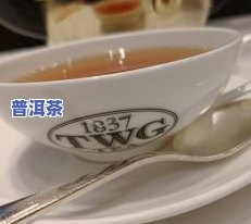 白牡丹茶的图片欣赏大全高清版