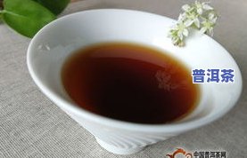 普洱茶勐海味是什么意思，「普洱茶勐海味」：探秘这一特别口感的由来与魅力