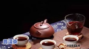 的普洱茶在哪里-的普洱茶 老茶人