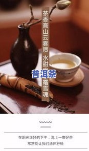 普洱茶至少先放多久再泡茶？影响口感的关键因素解析