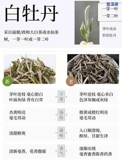 贡润祥白茶茶膏价格表，揭秘贡润祥白茶茶膏价格表，一文了解市场行情！