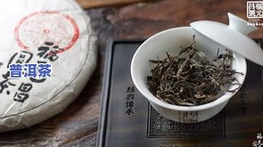 易武的普洱茶好喝吗？探讨口感、品质及评价