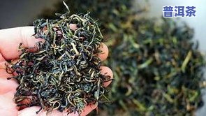 茶叶对肝脏有伤害吗-茶叶对肝脏有伤害吗能喝吗