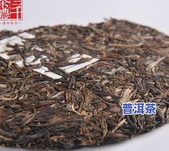 普洱茶青茶：种类介绍及图片展示