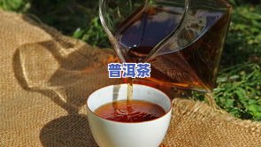 普洱茶的冲泡方法，详解普洱茶的冲泡方法：步骤、技巧与留意事项