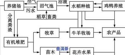 普洱茶150克多少钱，价格查询：普洱茶150克的售价是多少？