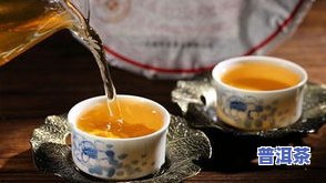 普洱茶的历史：哪一年开始有普洱茶？