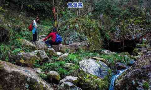 下关普洱茶加盟条件是什么，探秘下关普洱茶加盟条件，成为优质加盟商的之一步！