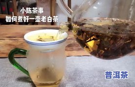 泰州普洱茶代理条件-泰州普洱茶代理条件怎么样