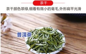 汉中仙毫茶都什么价位，汉中仙毫茶的价格区间是多少？