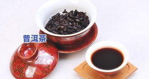 排普洱茶推荐-普洱 排