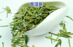 普洱茶更佳保存温度是多少？