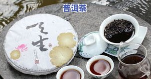 普洱生茶的泡法-普洱生茶的泡法的视频