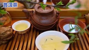 什么普洱茶好喝-什么普洱茶好喝还便宜