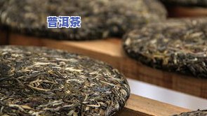 普洱茶饼长毛叫什么树的-普洱茶饼长毛叫什么树的品种