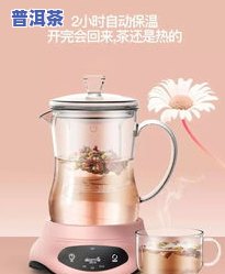 适合煮茶的茶叶-适合煮茶的茶叶品种