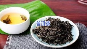 普洱茶树根，探秘普洱茶的灵魂：深入熟悉普洱茶树根的关键性