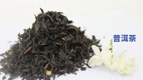 更高香的普洱茶-更高香的普洱茶是哪种