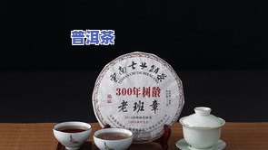 小青柑普洱茶88克的价格是多少？请提供详细信息。