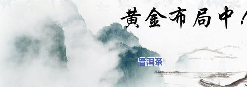 小青柑普洱茶88克的价格是多少？请提供详细信息。