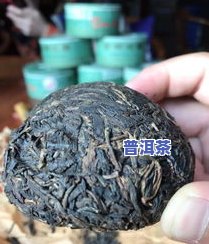 普洱茶条索对比-普洱茶条索对比图