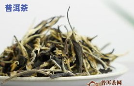 冰岛茶什么年份好卖-冰岛茶什么年份好卖一点