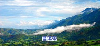 无量山文冒绿山普洱茶-无量山 普洱茶