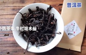 普洱茶哪种人不能喝，哪些人群不宜饮用普洱茶？