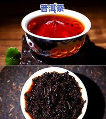 云南冰岛普洱茶：生茶还是熟茶？哪种更好？