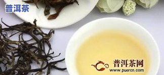 布朗普洱茶价格357克：熟茶与生茶的价格对比