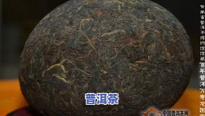 深入探索：普洱茶的形态之美及其特点