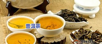 怎样选择普洱茶，精选指南：怎样选择优质的普洱茶？