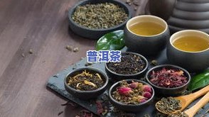 湿热伤阴的女人能喝普洱茶吗？喝多少合适？适合湿热体质的人吗？