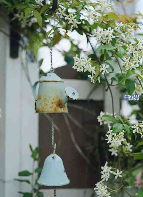 湿热体质适合饮用普洱茶吗？女性适用吗？