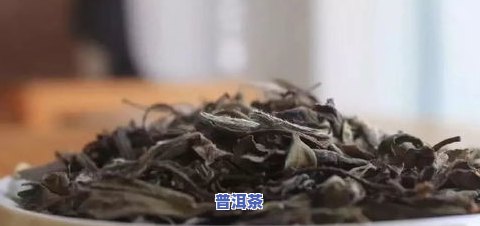 对肝更好的茶叶苦丁茶：养肝、护肝的天然良