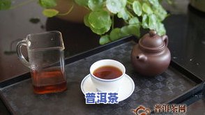 生饼茶与熟饼茶：口感对比，哪个更胜一筹？