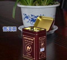 茶叶直接放铁盒有-茶叶直接放铁盒有吗