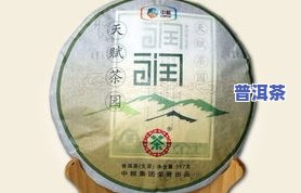 普洱人家普洱茶2012，品鉴2012年份普洱人家普洱茶，感受岁月的沉淀与茶香的特别韵味