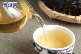 人名普洱茶-普洱人家茶叶