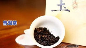 玉普洱茶业：冰岛魂普洱茶价格一览，品味普洱玉石的韵味