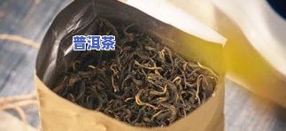 各种茶叶的储藏温度-各种茶叶的储藏温度是多少