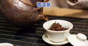 陈升号与华祥苑的普洱茶：哪个更好？价格比较